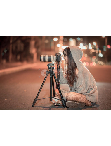 해외 여자모델 밤 카메라 사진사 사진 야외 활동 도시의 캐논 슈팅 여자 소녀 관광객